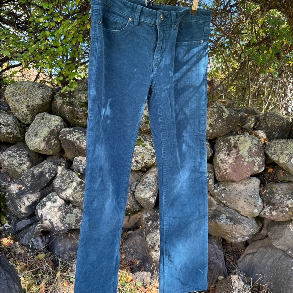 Patagonia Organic Cotton Corduroy Pants - Teal